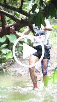 BIB:  <button type="button" onclick="openModal(27494823)" class="btn btn-primary btn-sm float-right" data-toggle="modal" data-target=".modal-high-quality">
                <i class="fa fa-download"></i> Download
                </button>